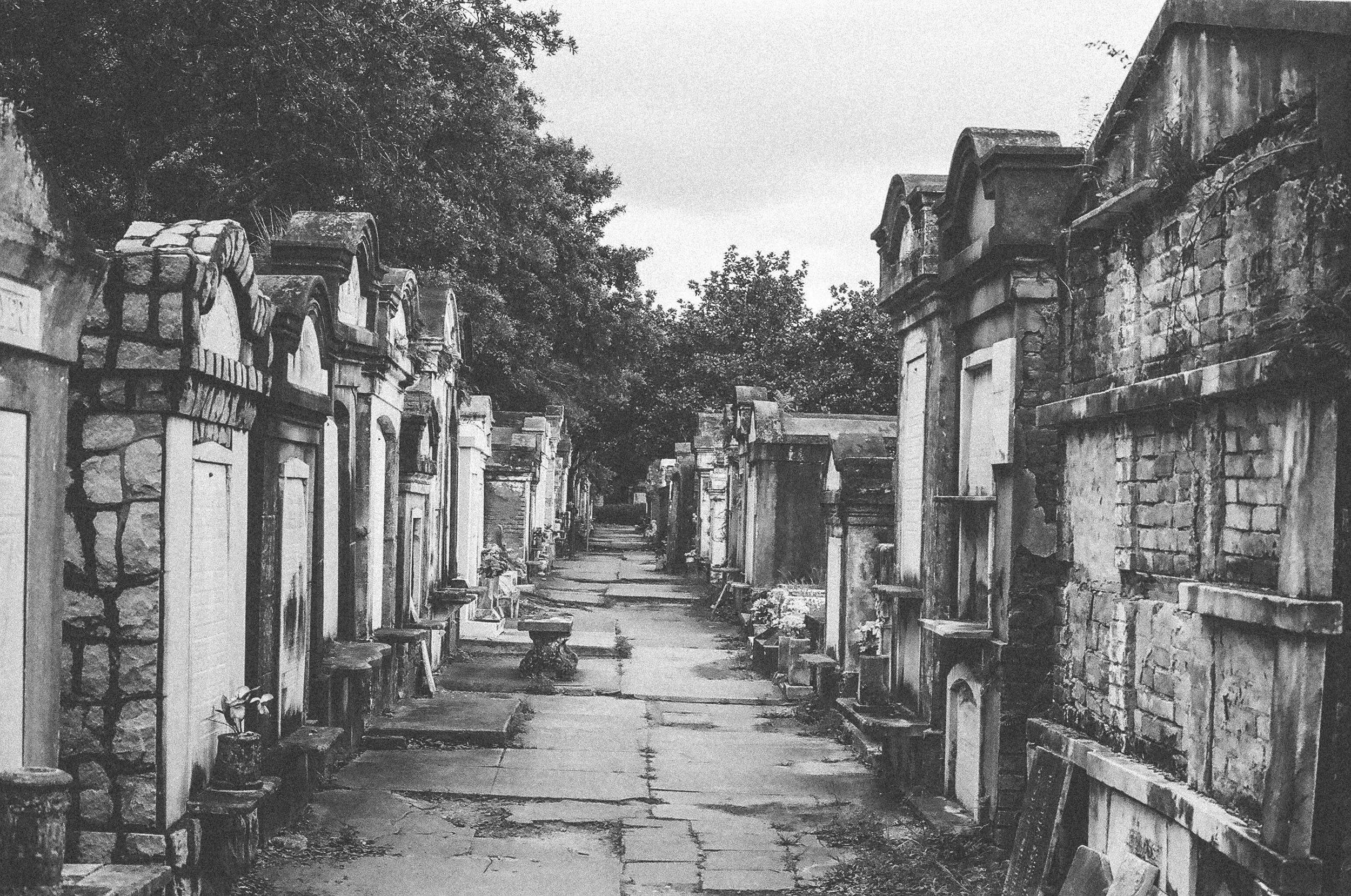 Canon AE1, 35mm, Ilford HP5 Plus 400
