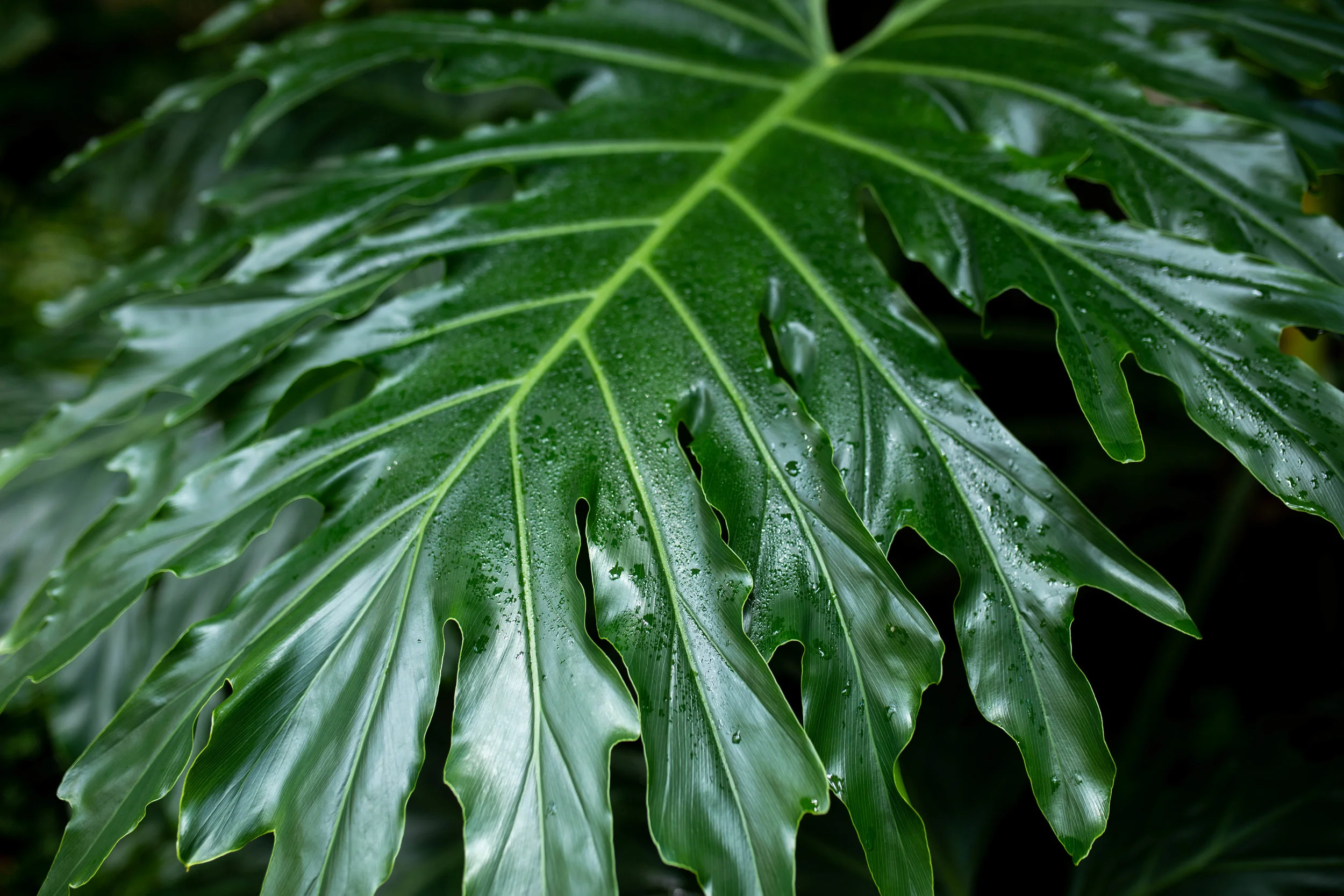 5E5A8490.jpg