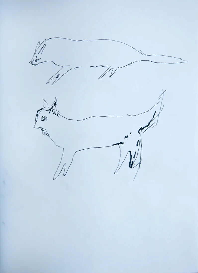 book 2, page 99