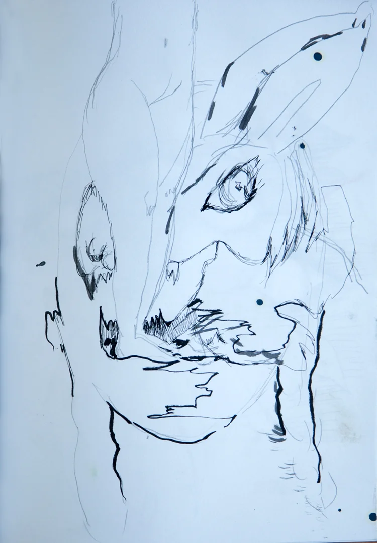 book 2, page 49