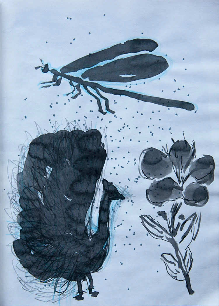 book 3, page 2