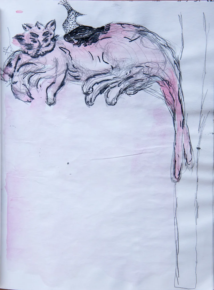 book 3, page 16