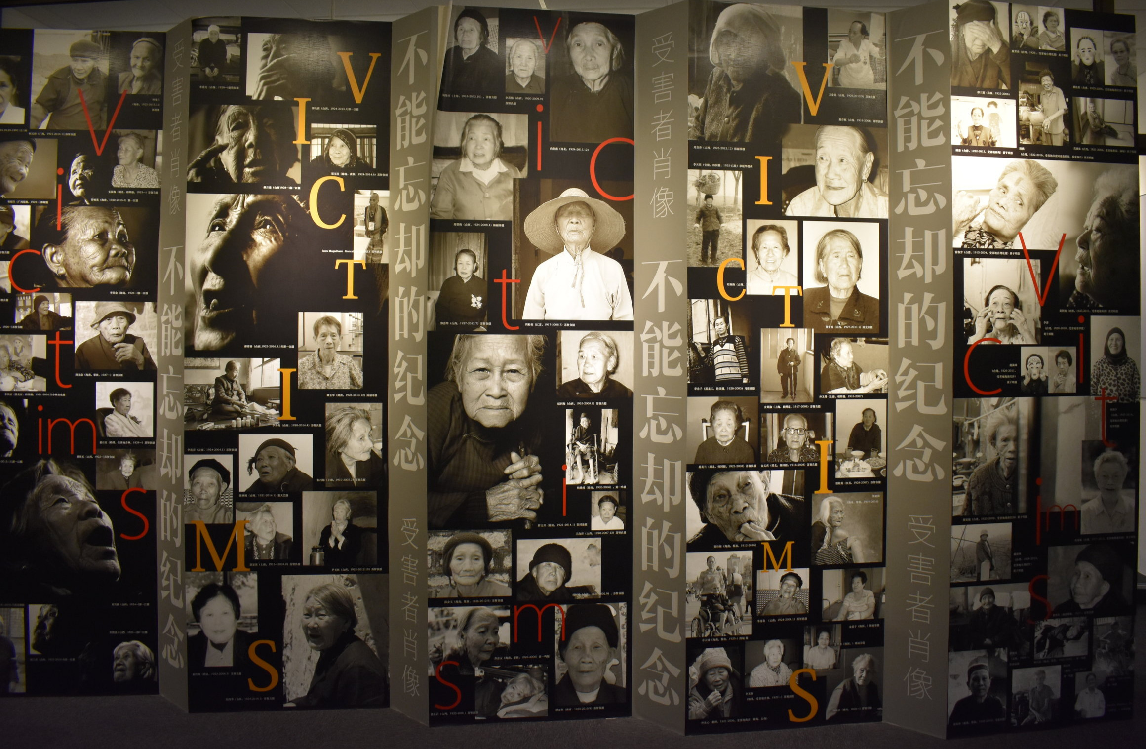 Collage - Victims display