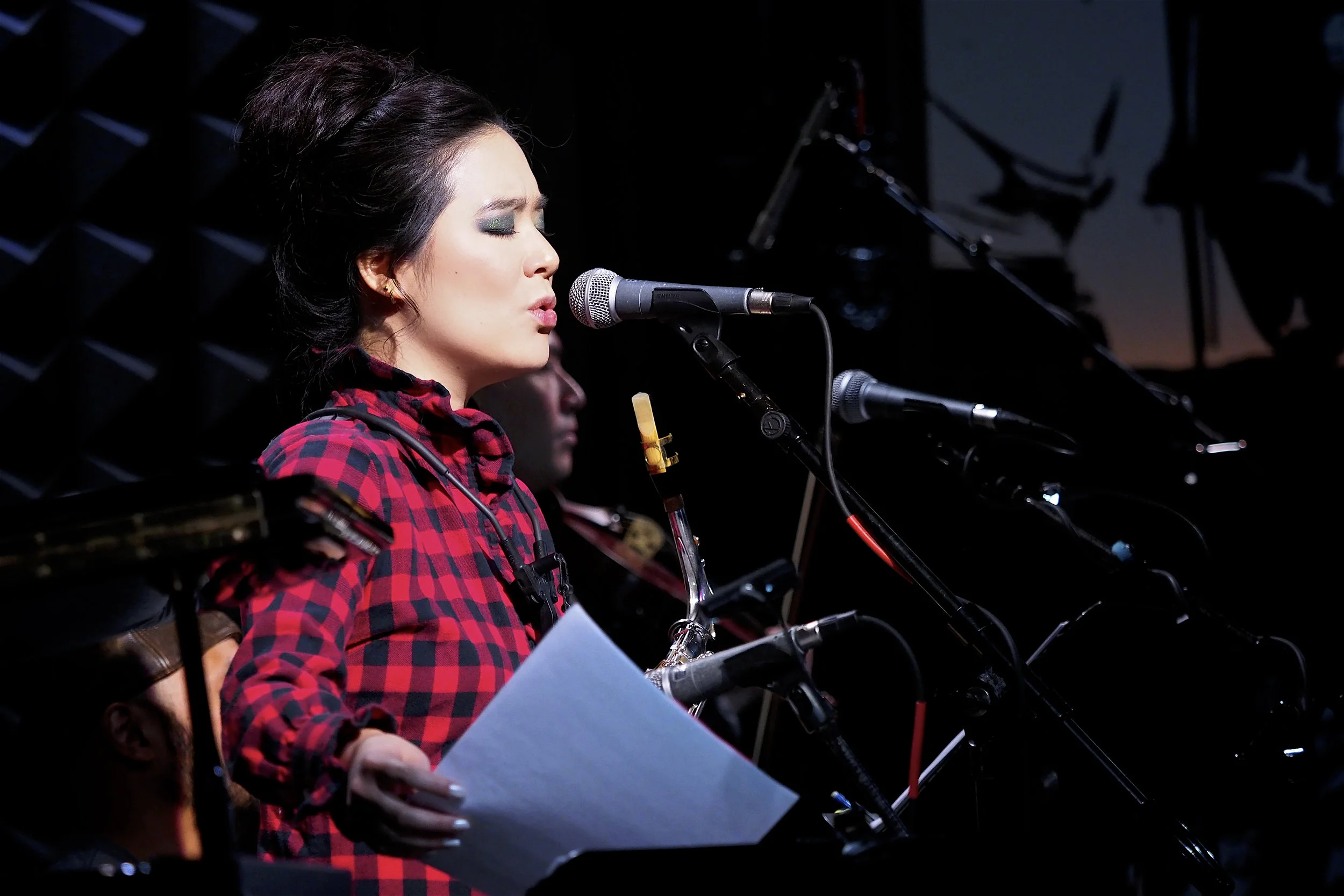 Joe's Pub, NYC 2019