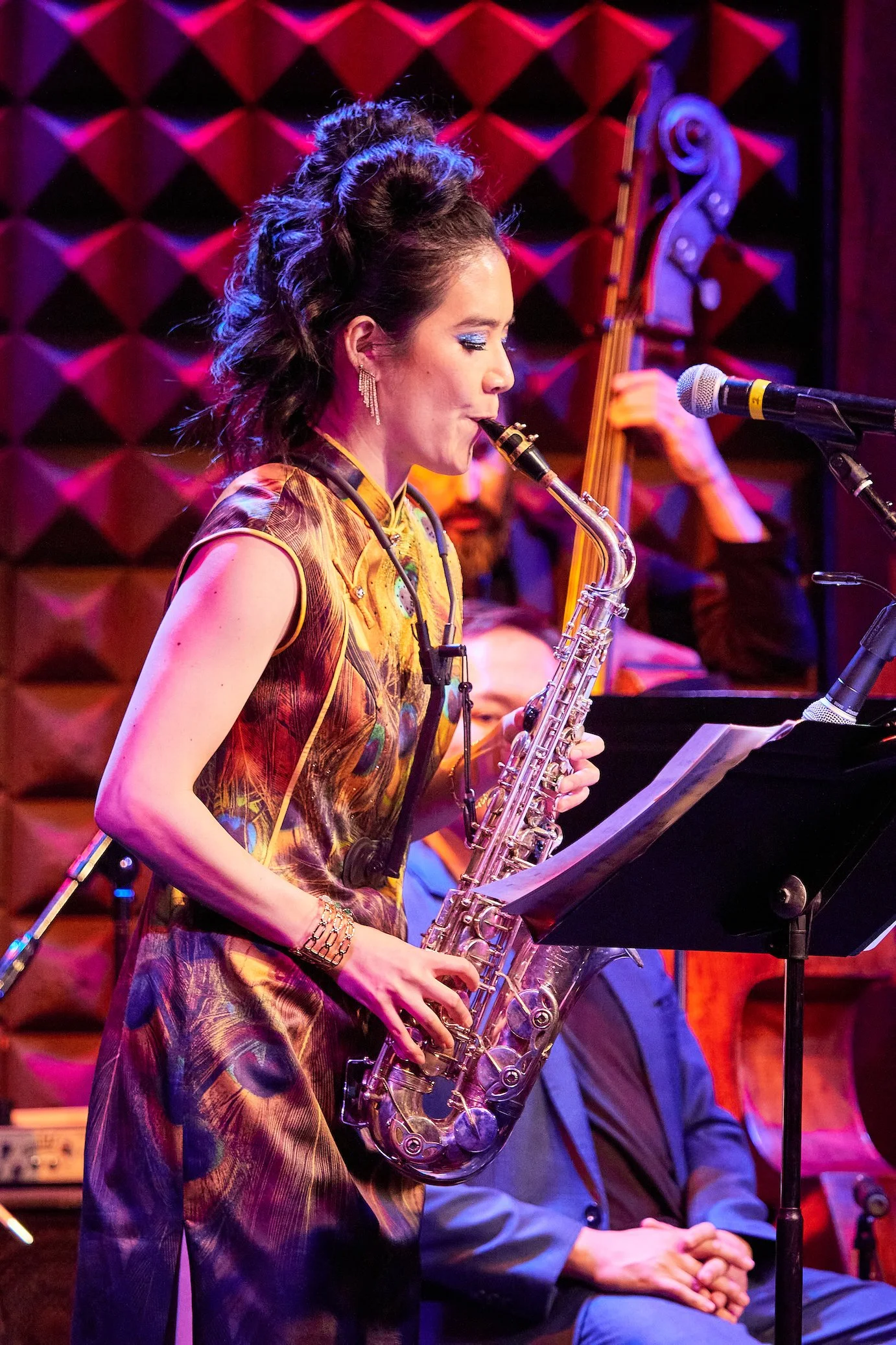 Joe's Pub, NYC 2024