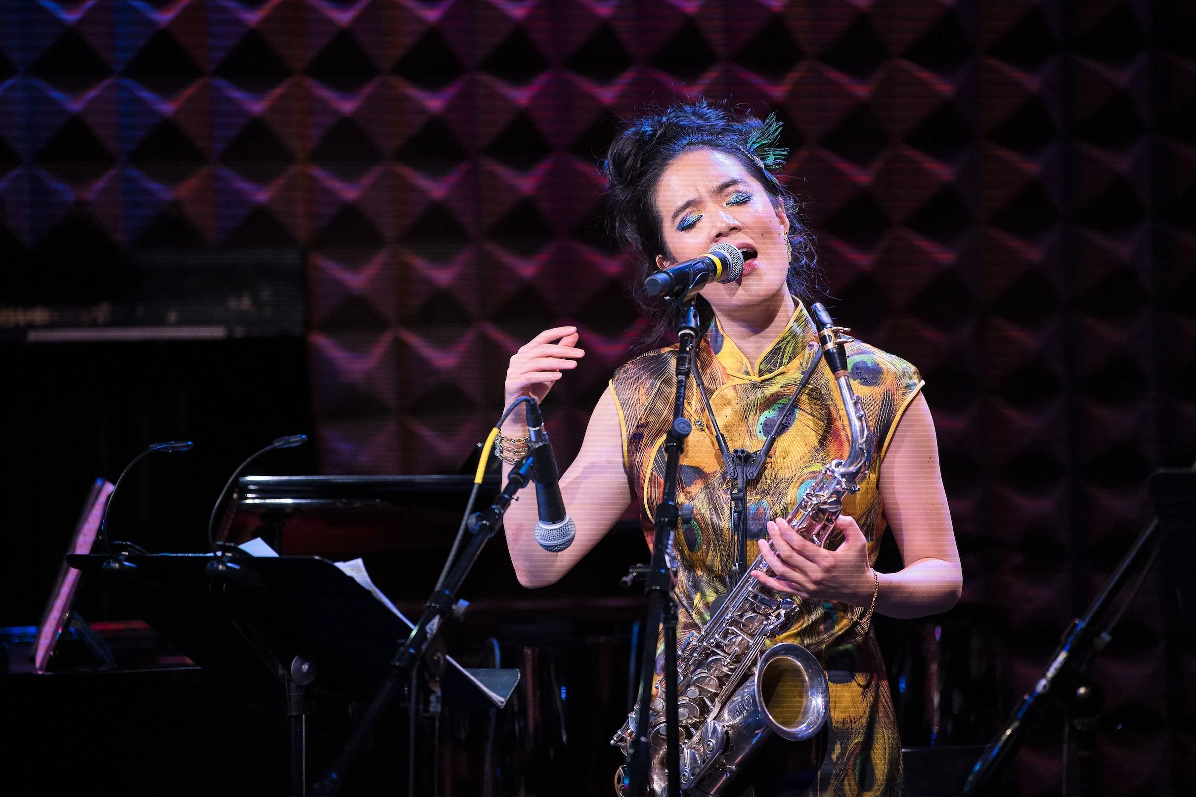 Joe's Pub, NYC 2024