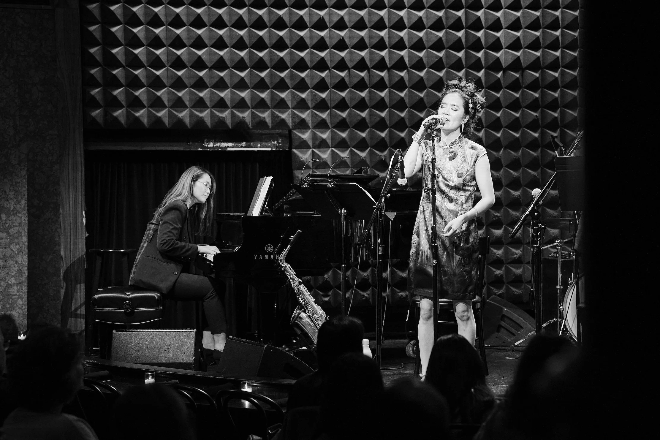 Joe's Pub, NYC 2024