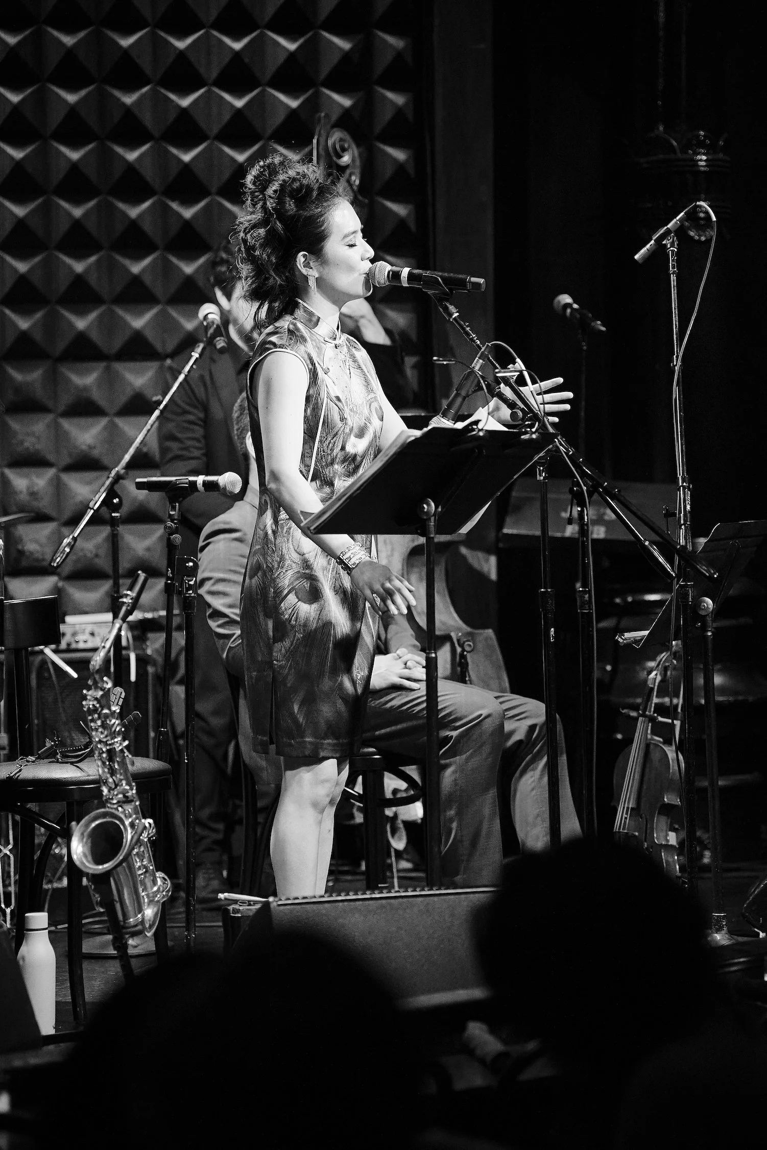 Joe's Pub, NYC 2024