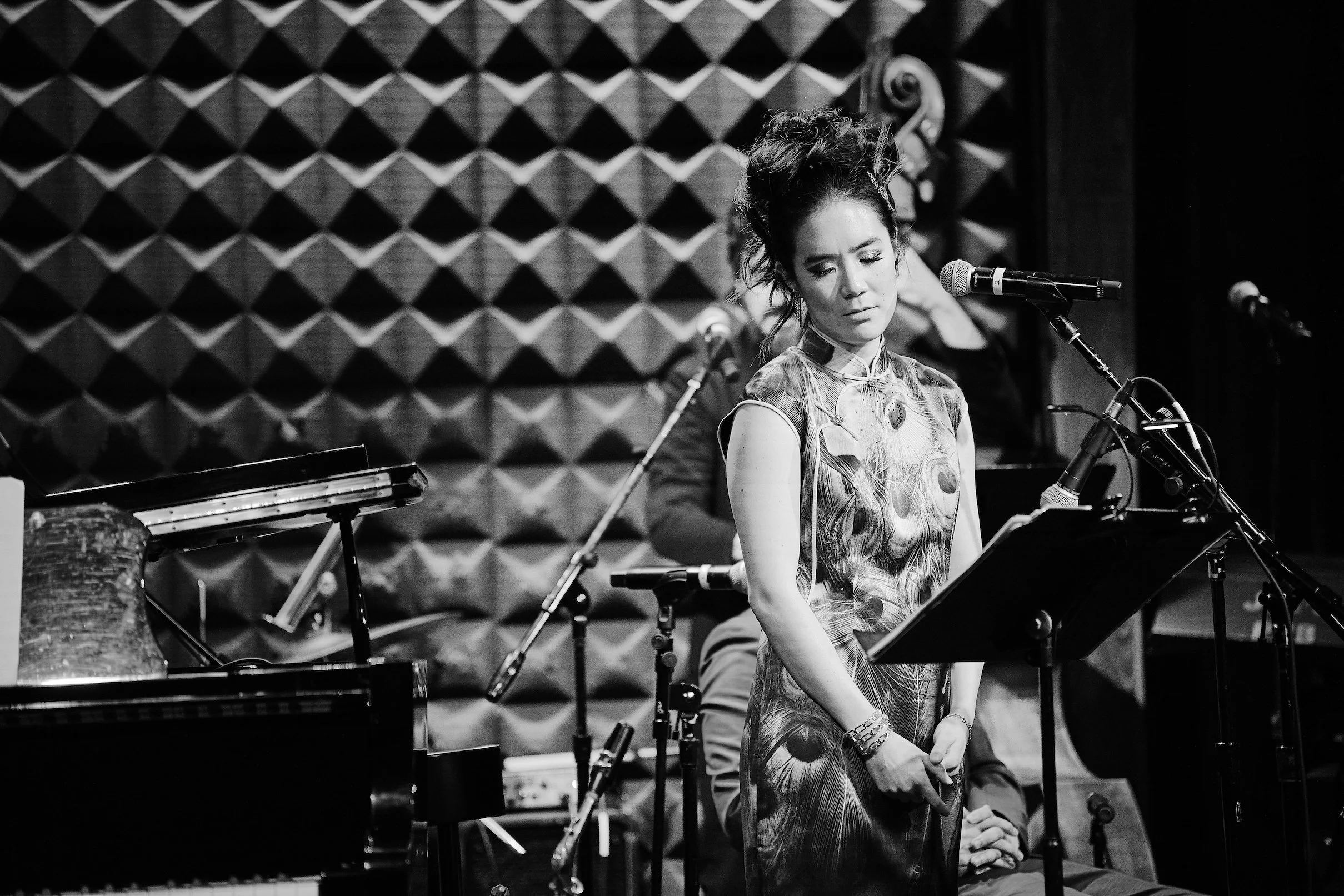 Joe's Pub, NYC 2024