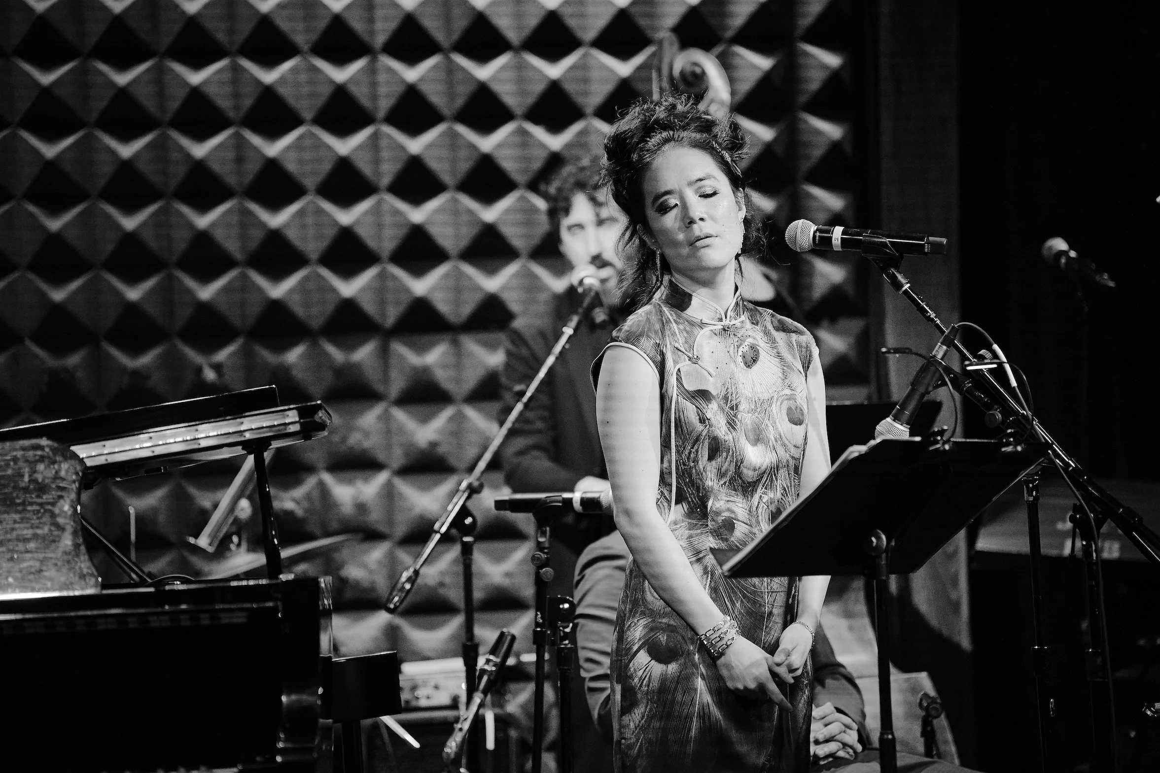 Joe's Pub, NYC 2024