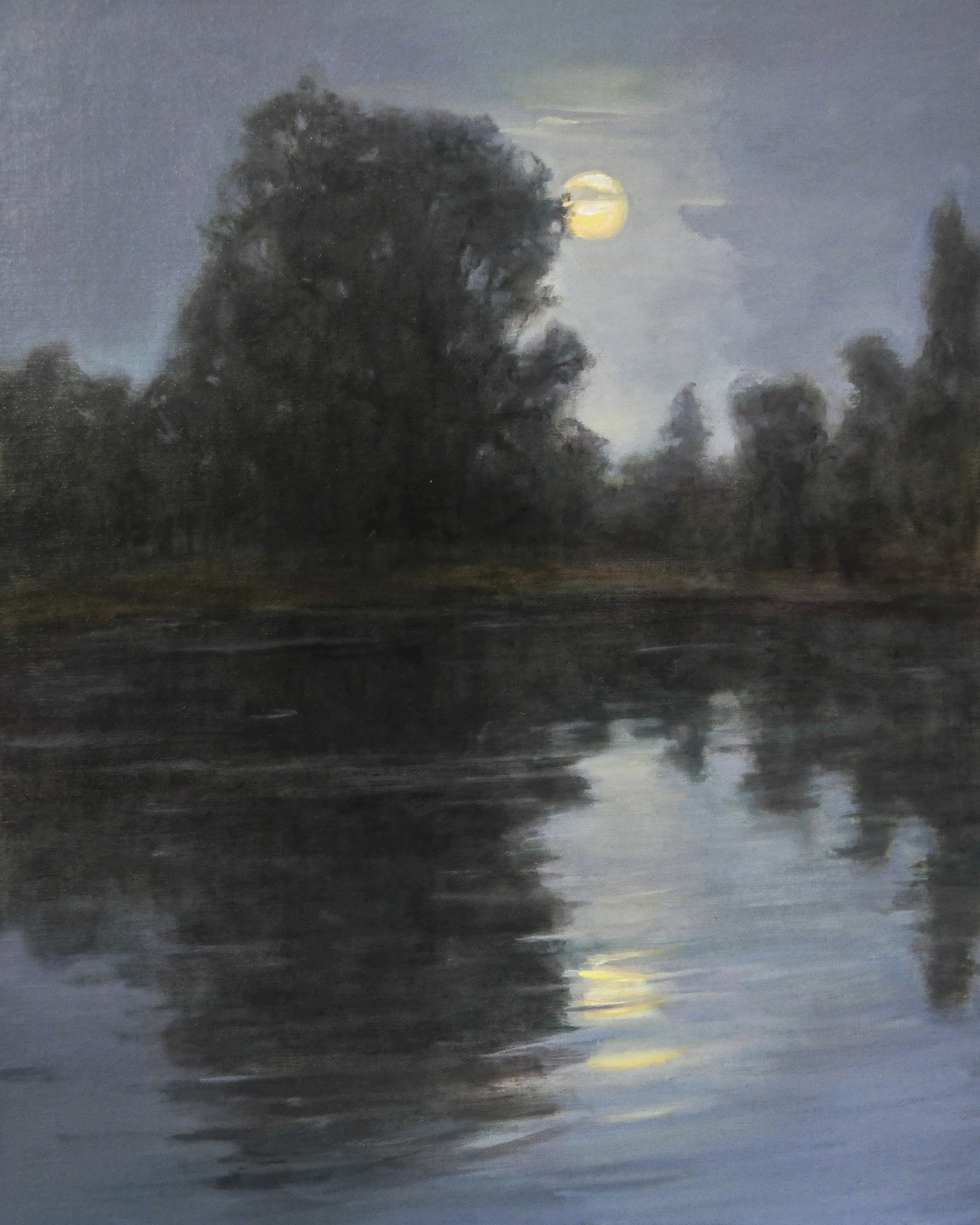 Moonlight at Brazos Bend
