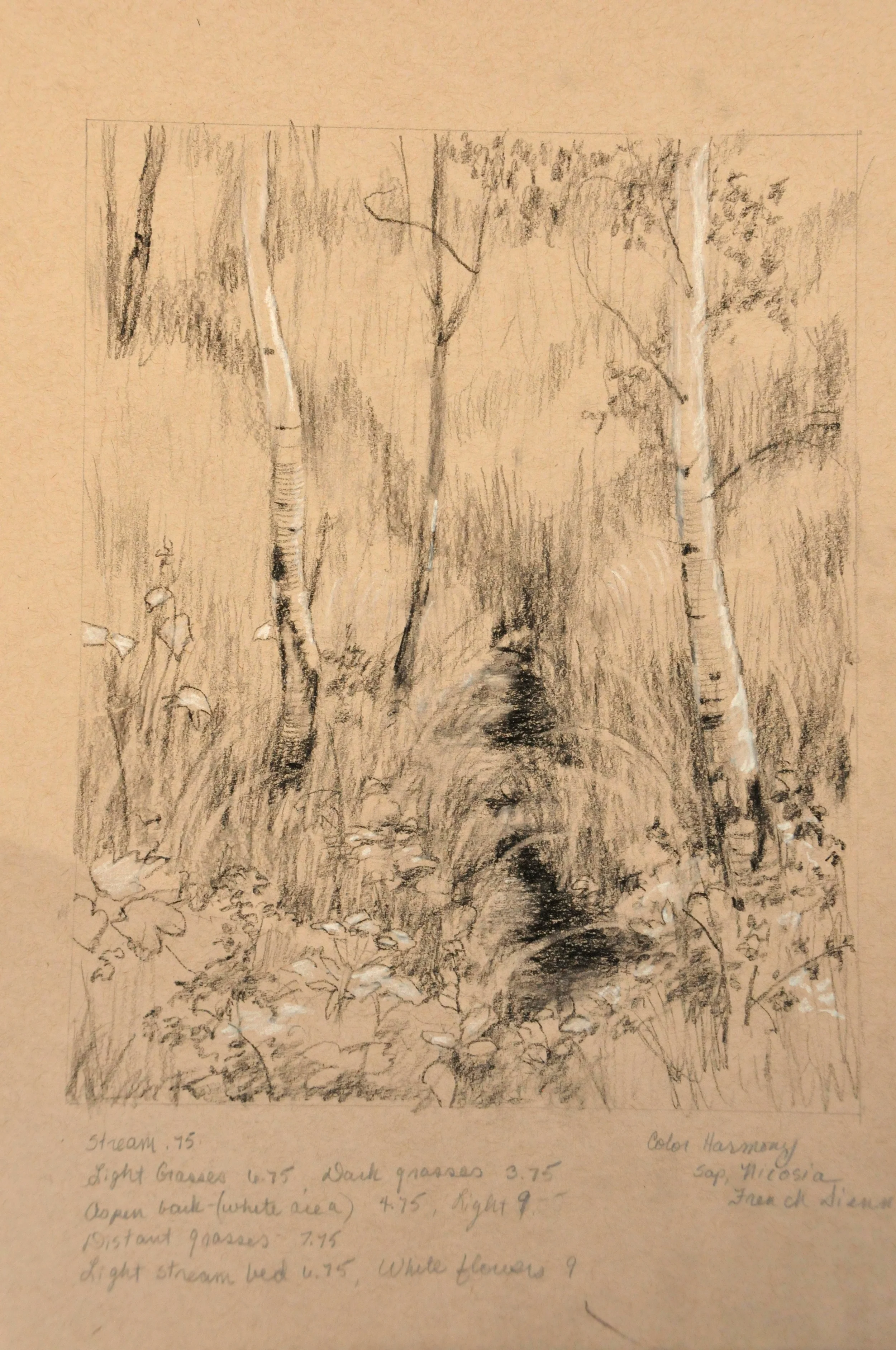 Stream with Aspens