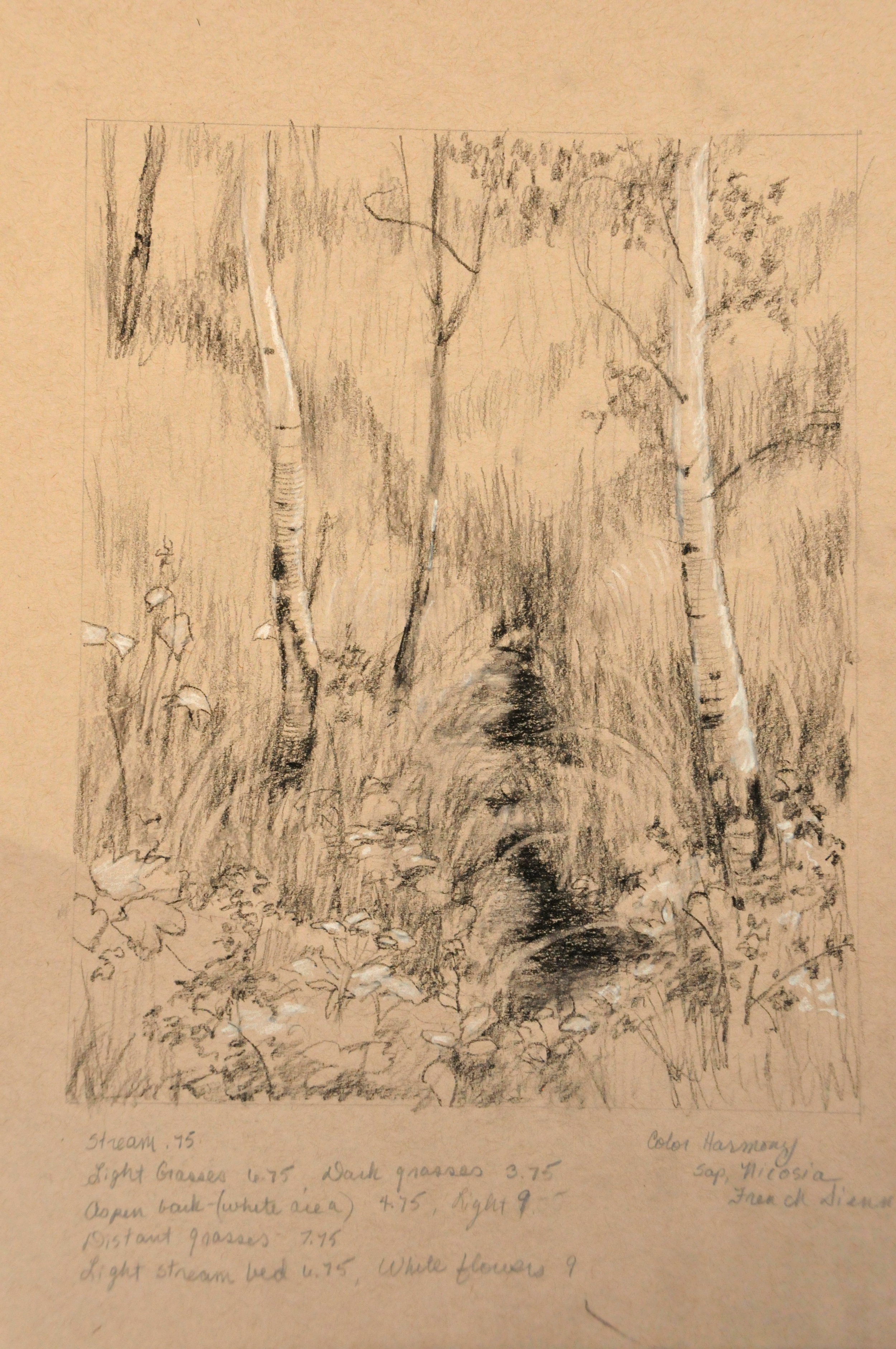 Drawings Mallory Agerton