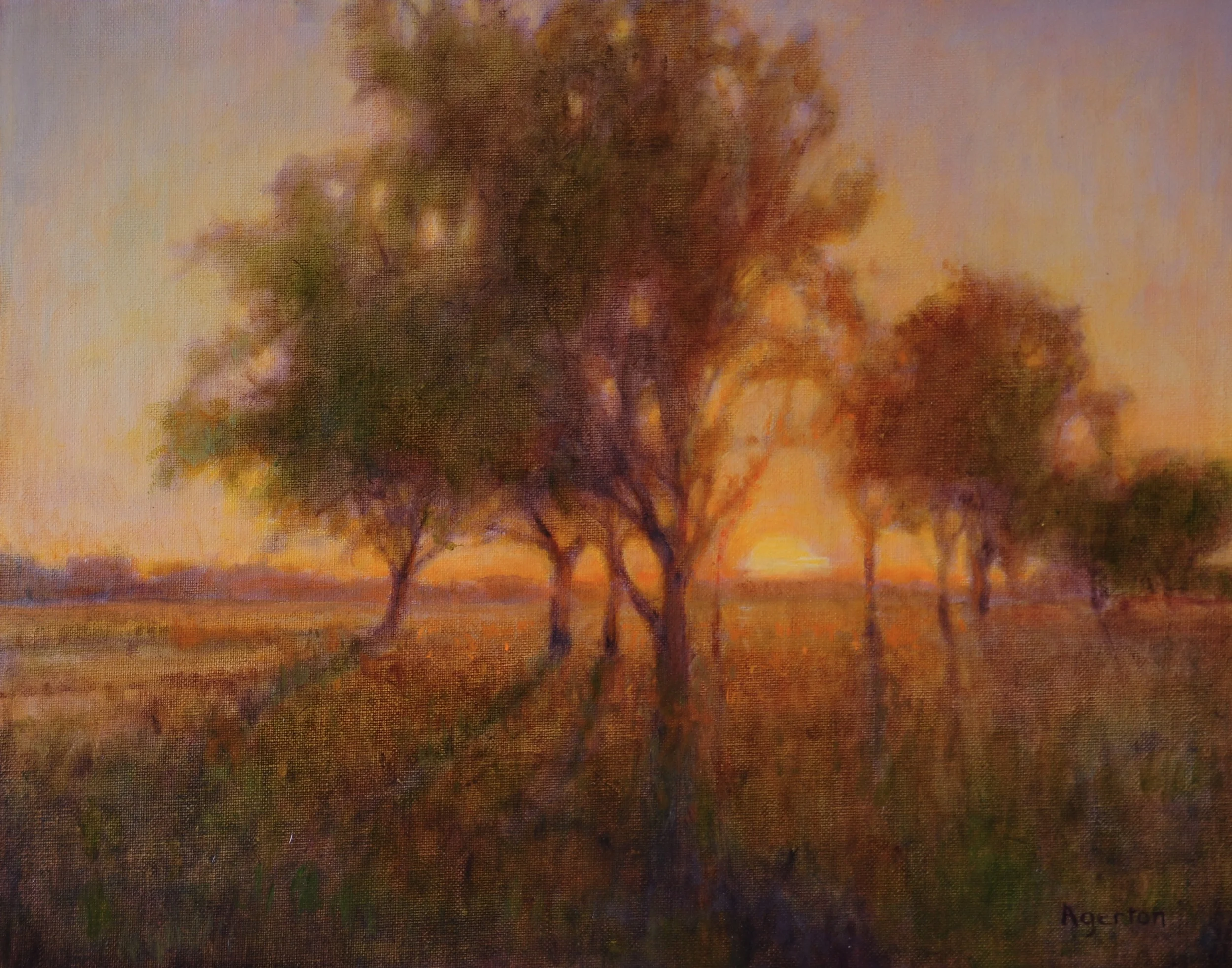 Sunset Oaks