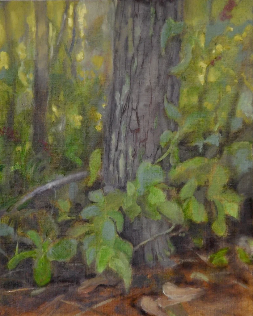 Arboretum Study. Oil. 8x10