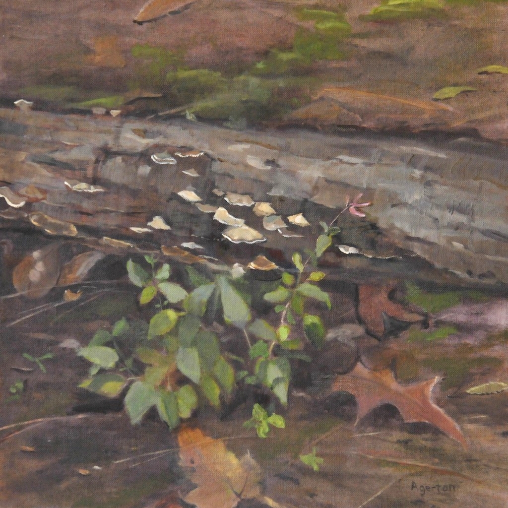 Log with Lichen. 12x12. $650.