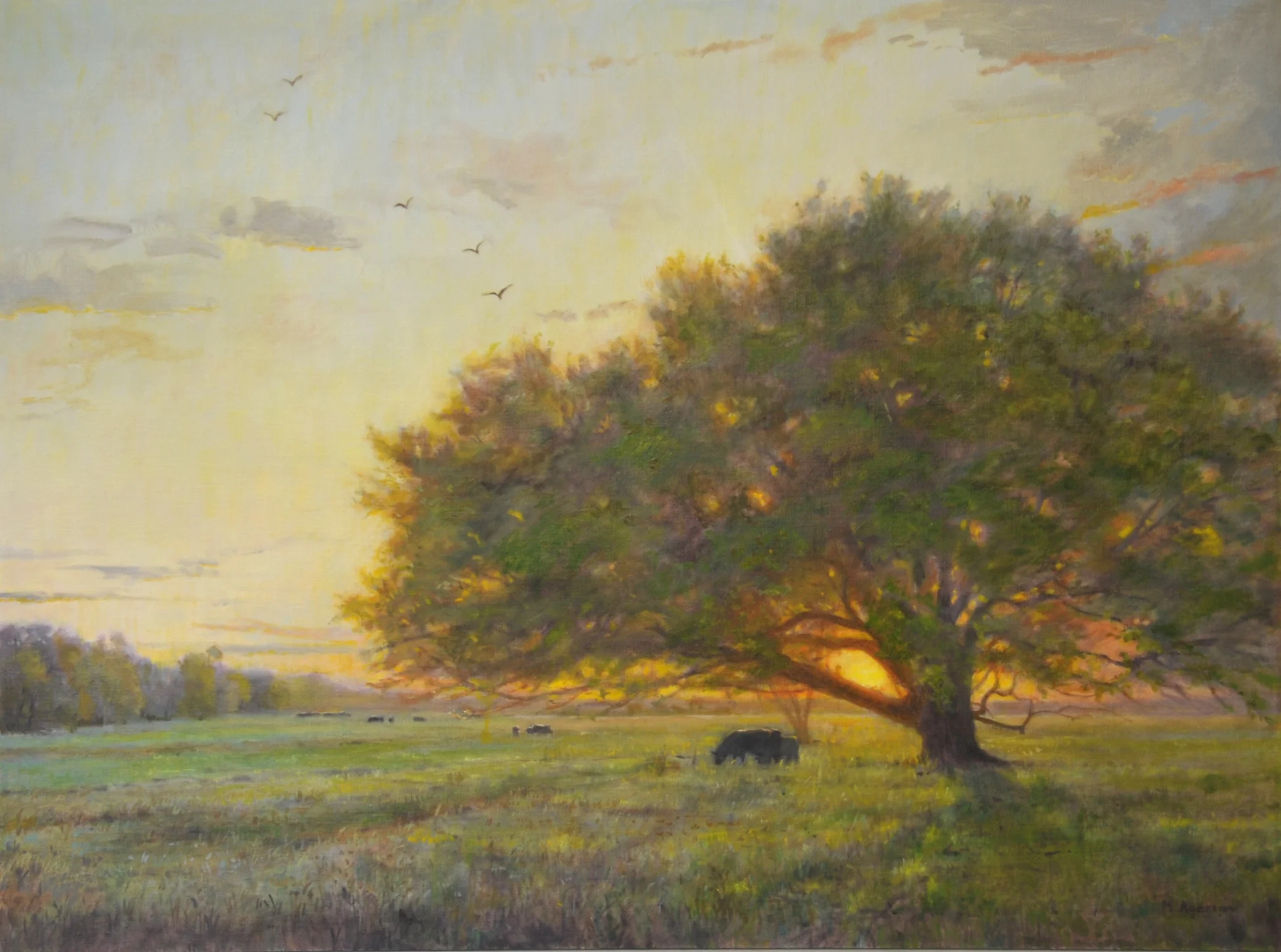 Joy Ranch 30x40. Oil.