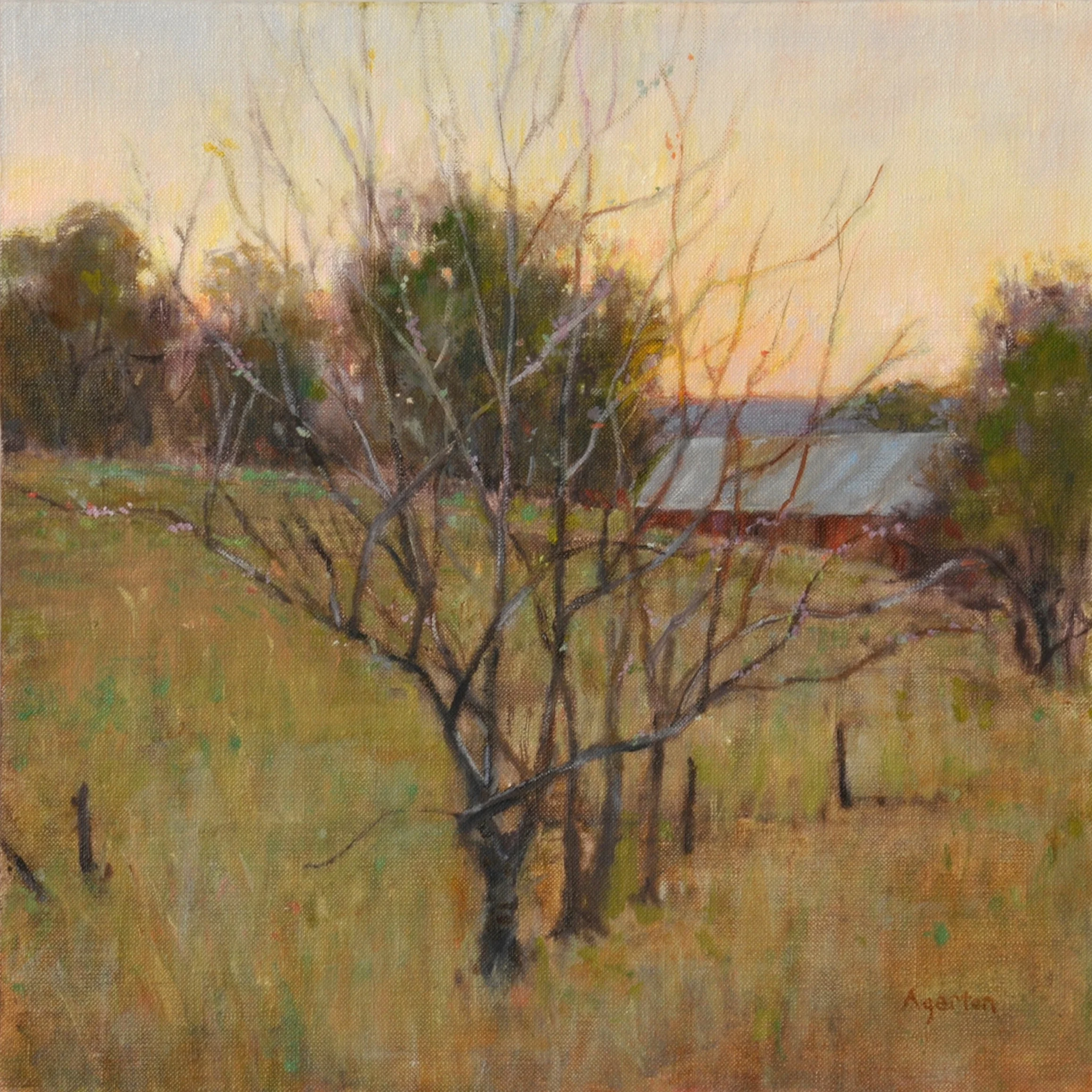 Hillside at Dawn. 12x12. Available.