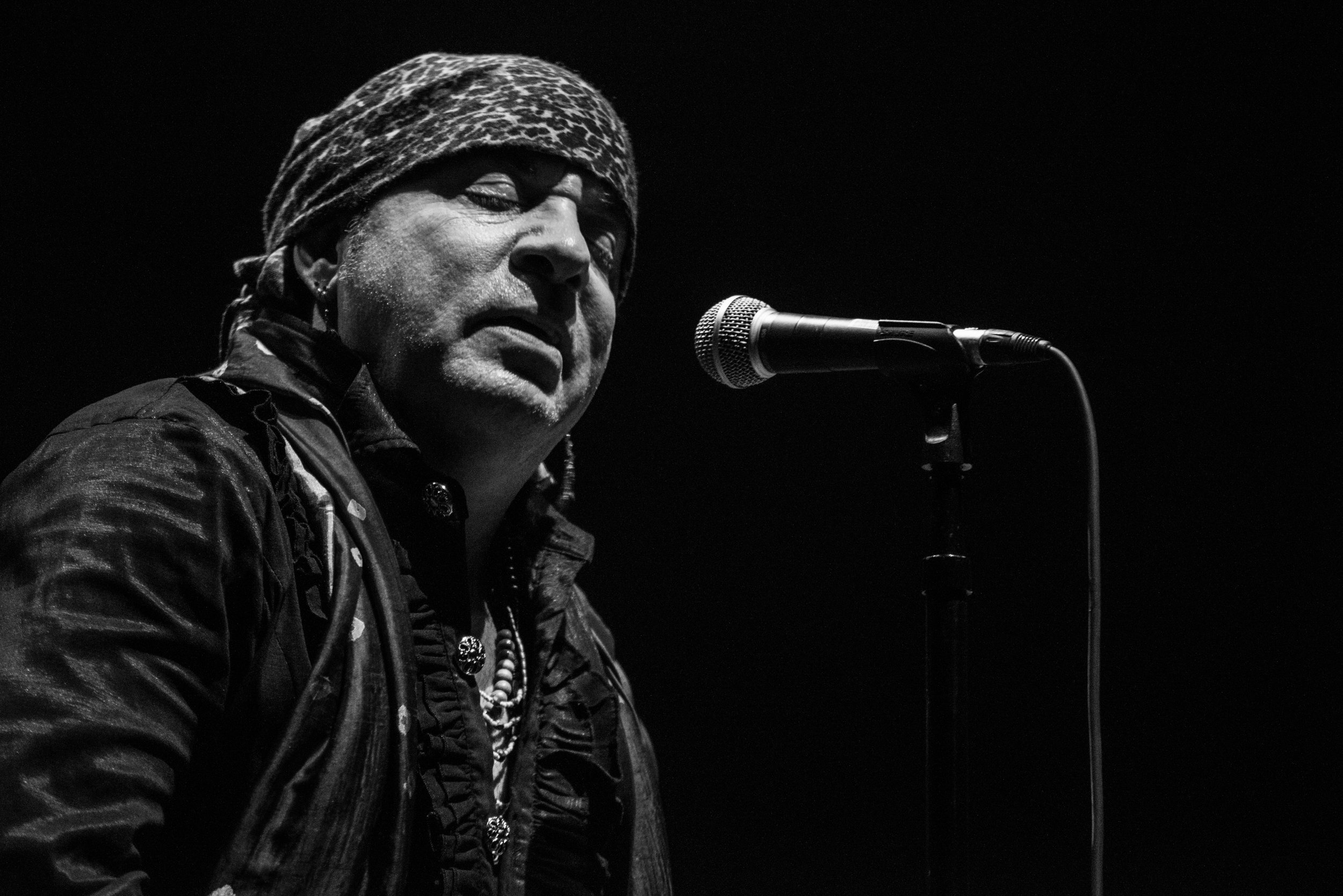 Steven Van Zandt