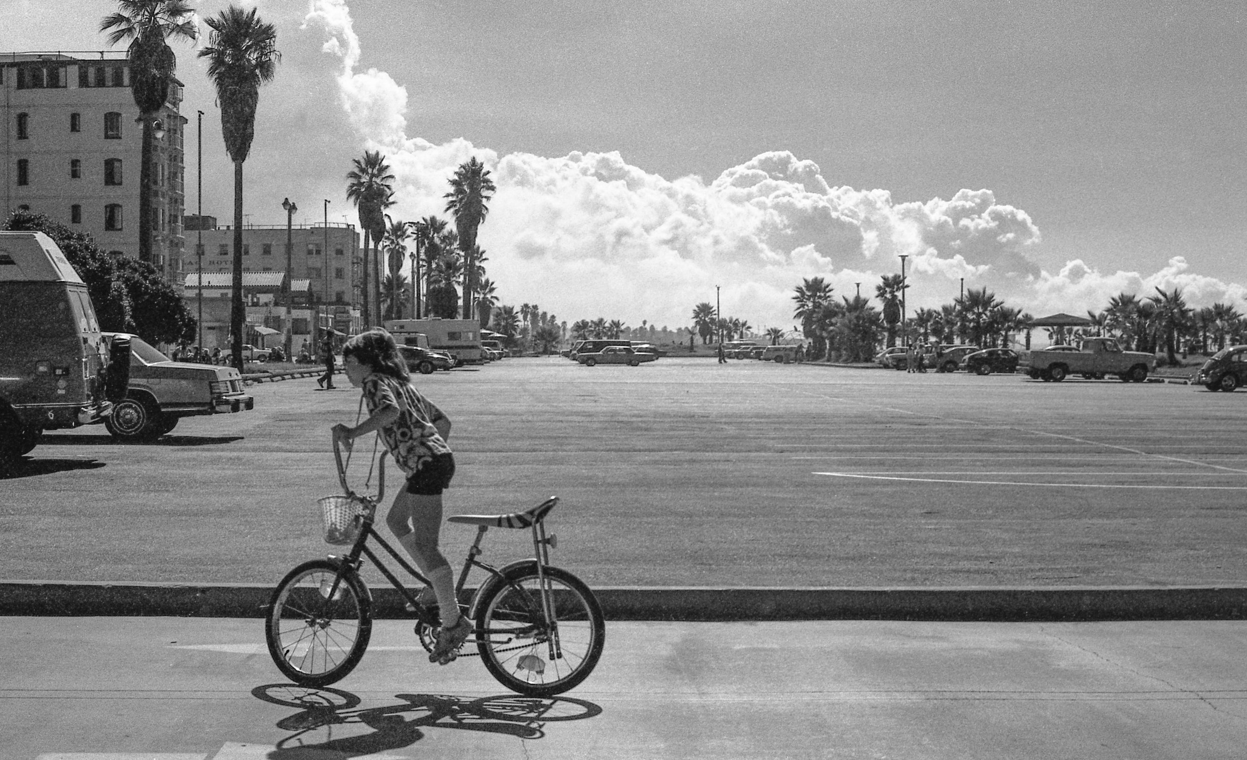 School's Out, Venice 1979