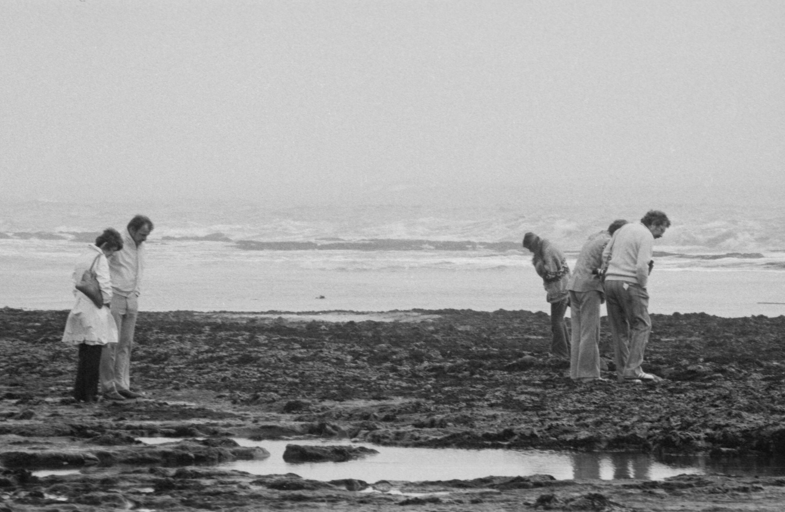 Tide Pool Observers, Bolinas 1975