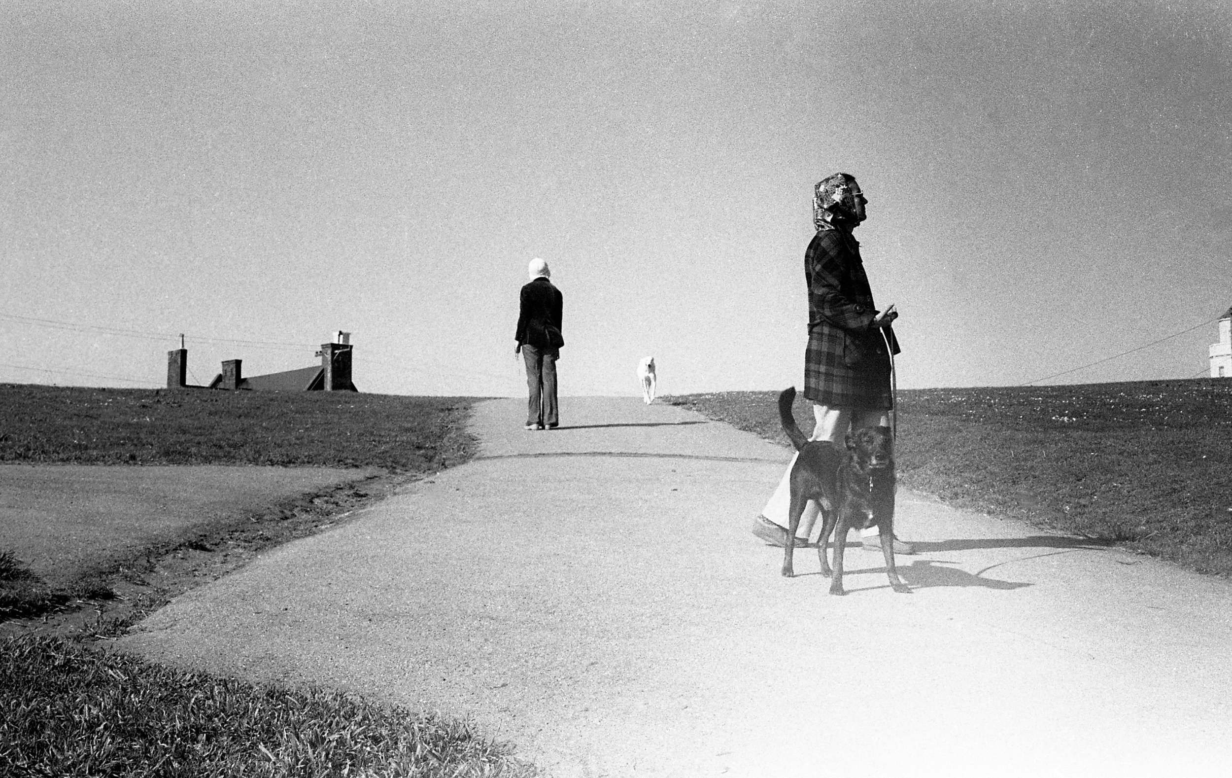 Alta Vista Park, San Francisco 1976