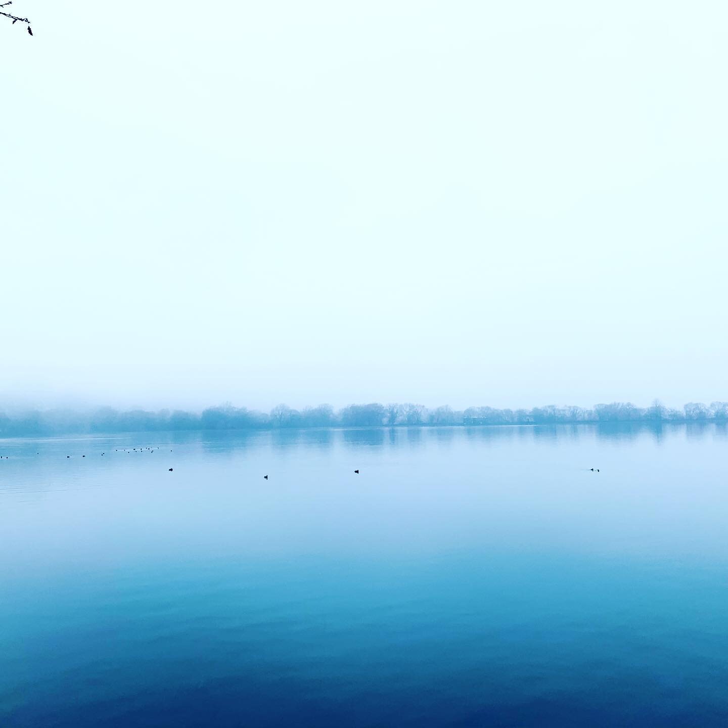 Fog over water