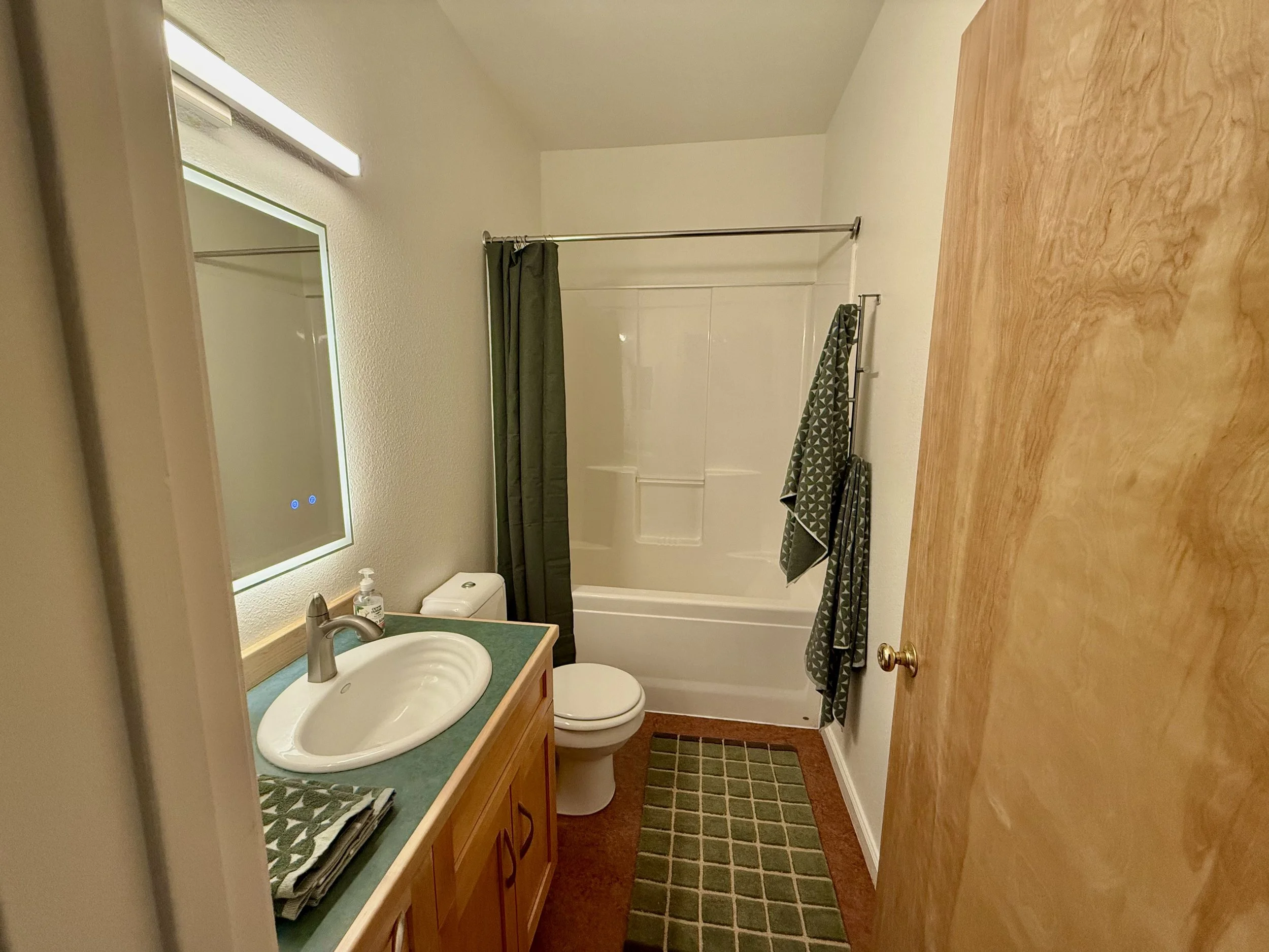 Downstairs Hall Bathroom