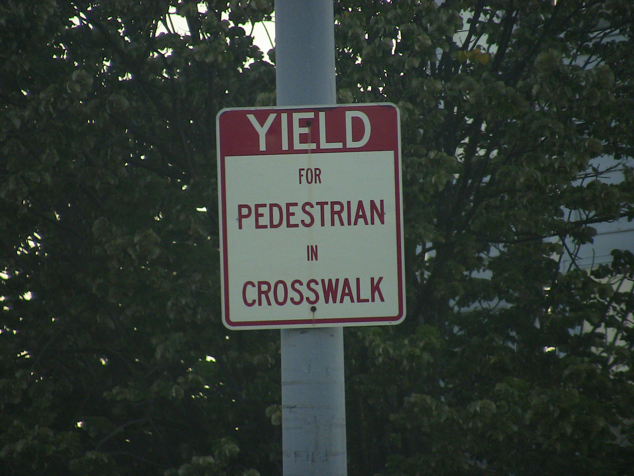 Yield in the crosswalk, sure. Outside of the crosswalk....well, good luck mate.