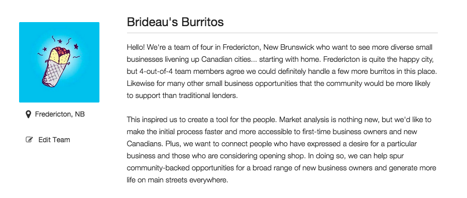 Our Team Page. Click to enlarge.
