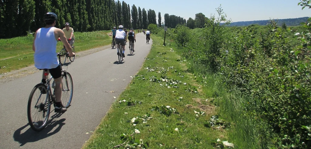 Let Cyclists Eat Cake