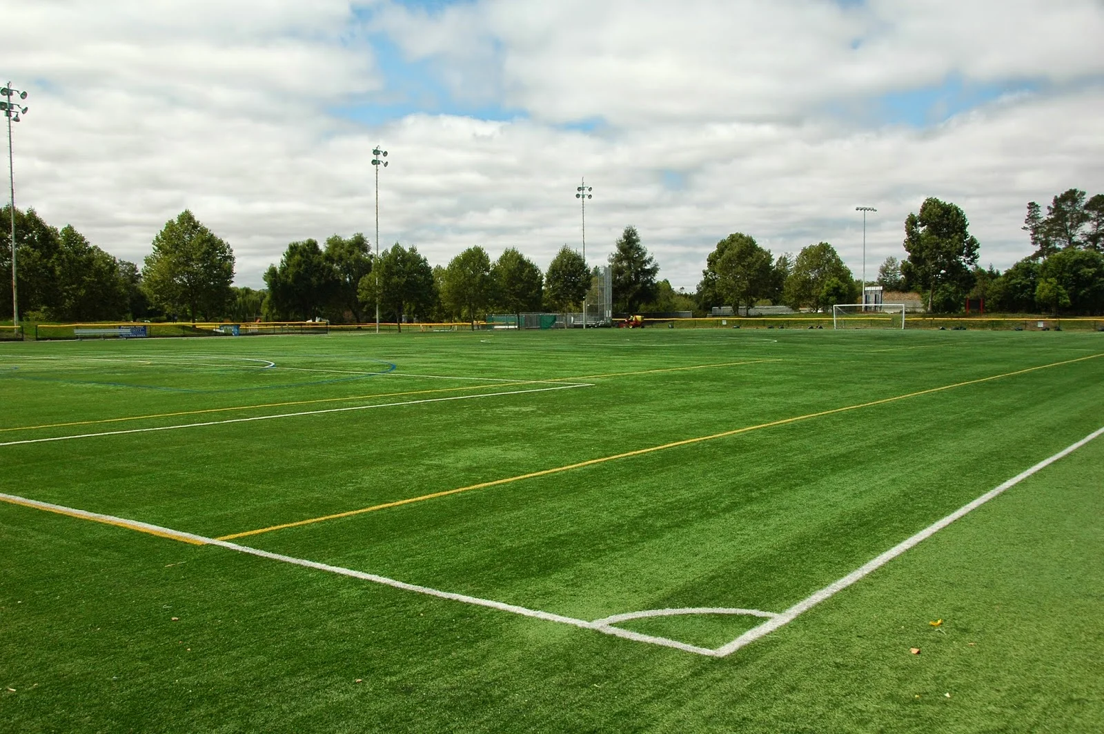 Learning Governance from Design Humility