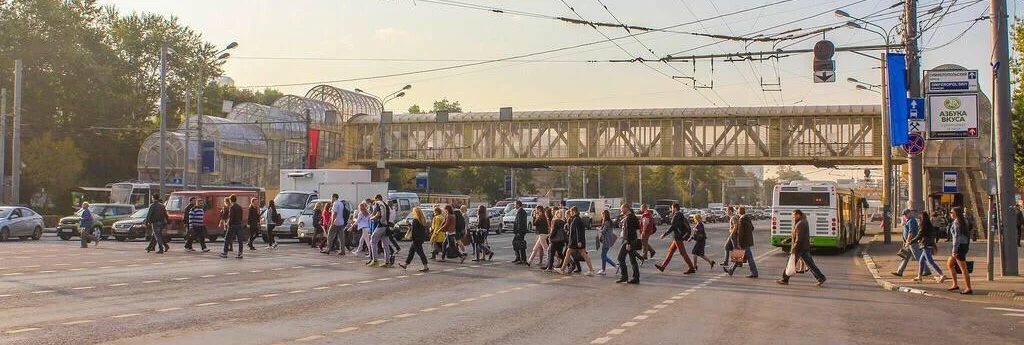 The wisdom of crowds