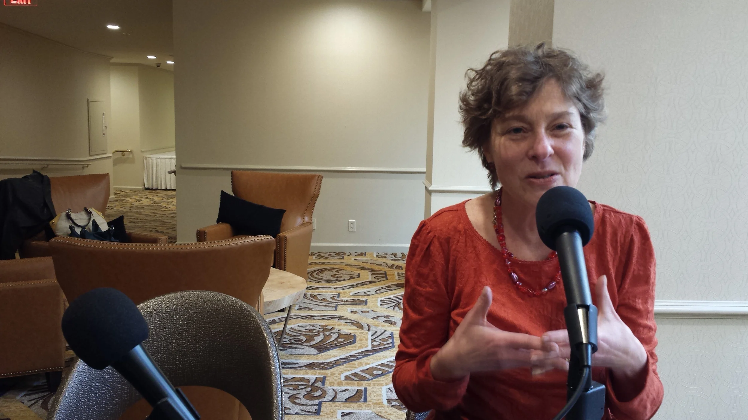 Show 221: Cynthia Nikitin at CNU 23