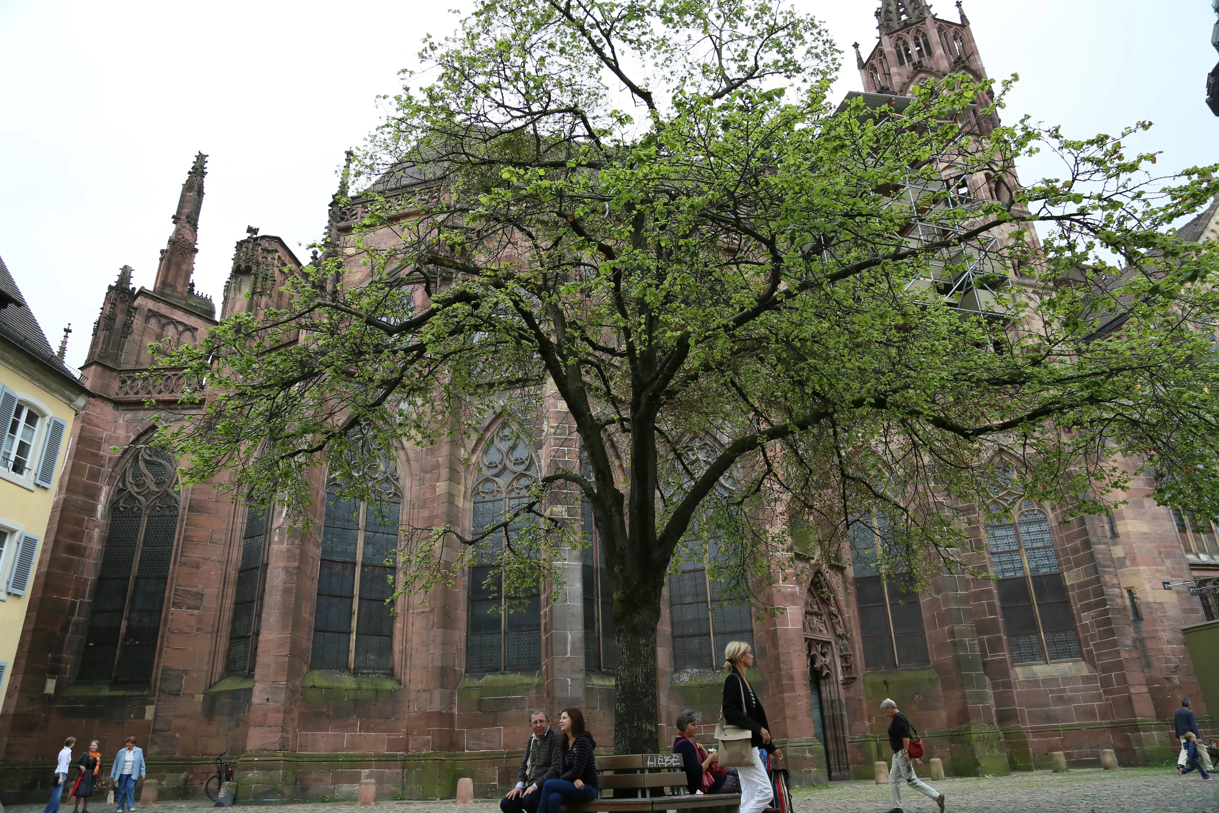 "It is the mystic patriot who reforms."