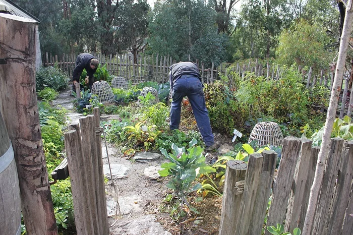Men tending a backyard vegetable patch. I'm not sure if they were supposed to be here because they weren't wearing period clothing.