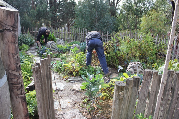 Men tending a backyard vegetable patch. I'm not sure if they were supposed to be here because they weren't wearing period clothing.