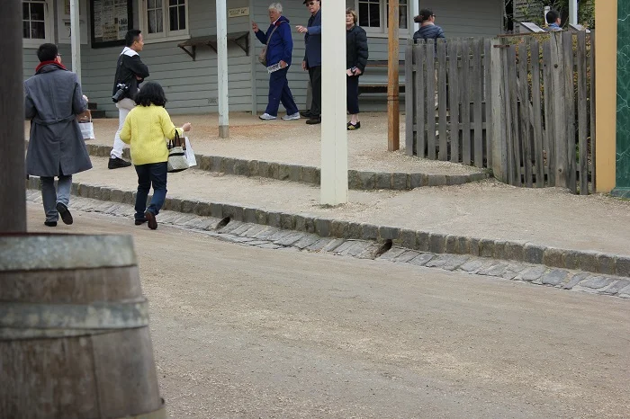 Many of the buildings had drains that ran out into the street. It looks very similar to a modern curb.