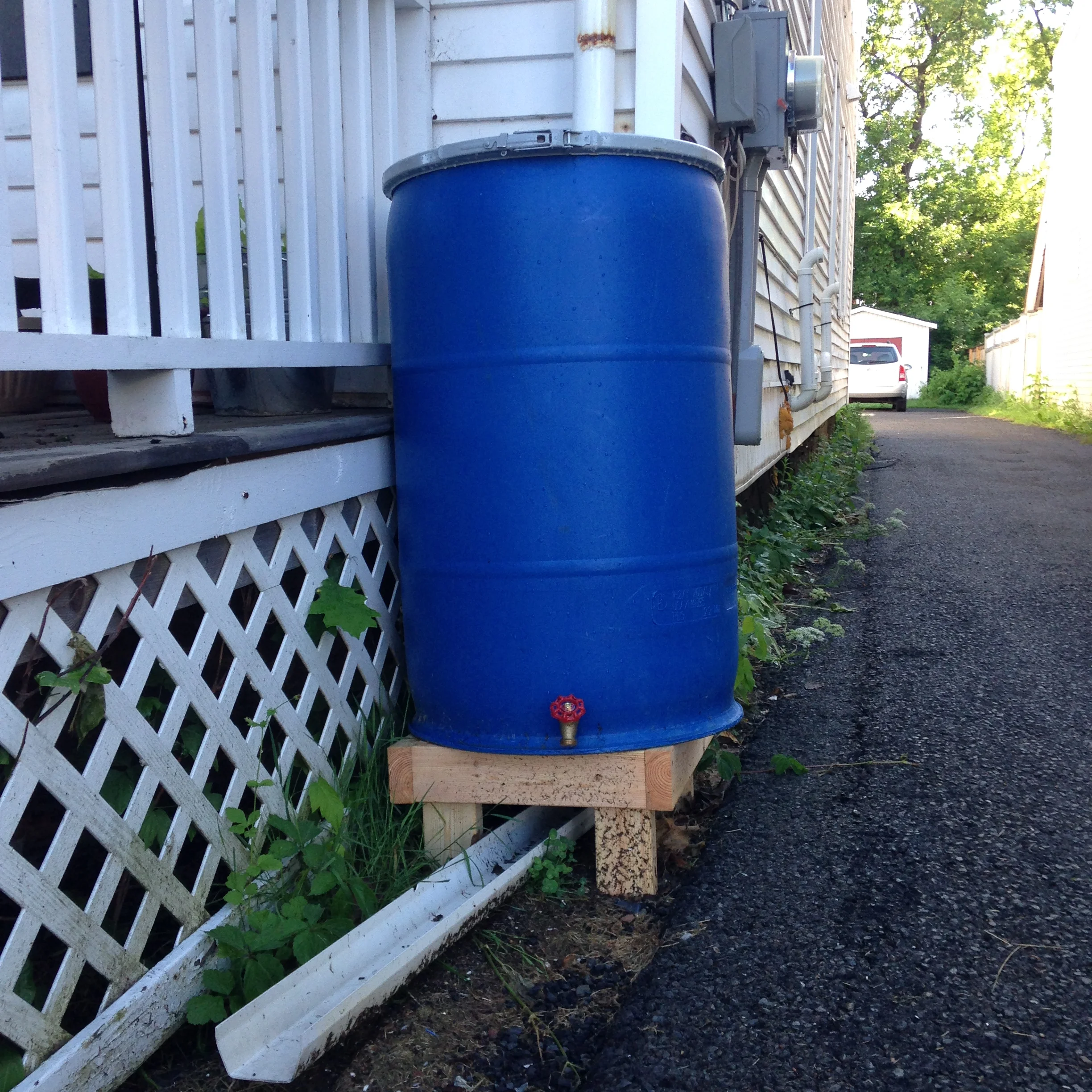 I love my rain barrel, in photos.