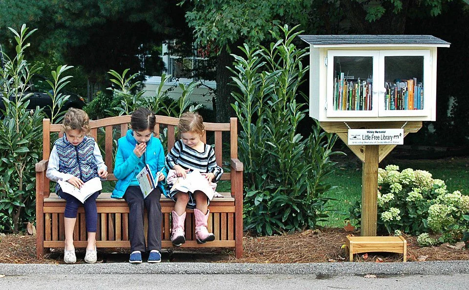 Free Libraries: Embracing a Little Chaos