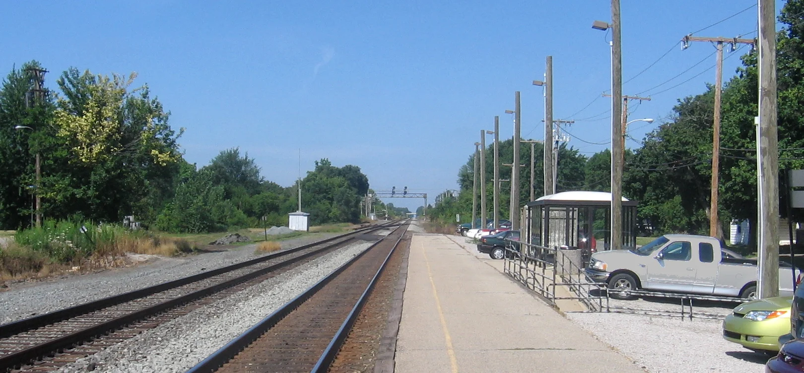 The TIGER sleeps tonight (in Staples)