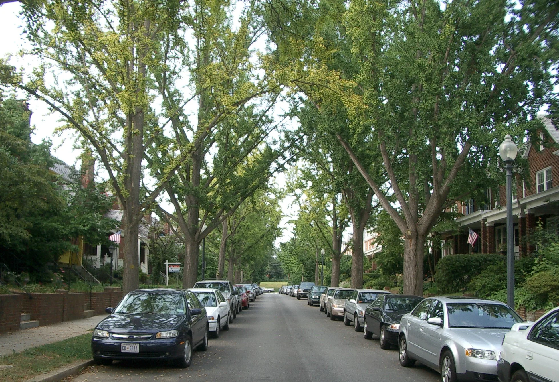 Navigating DC's Narrow Streets