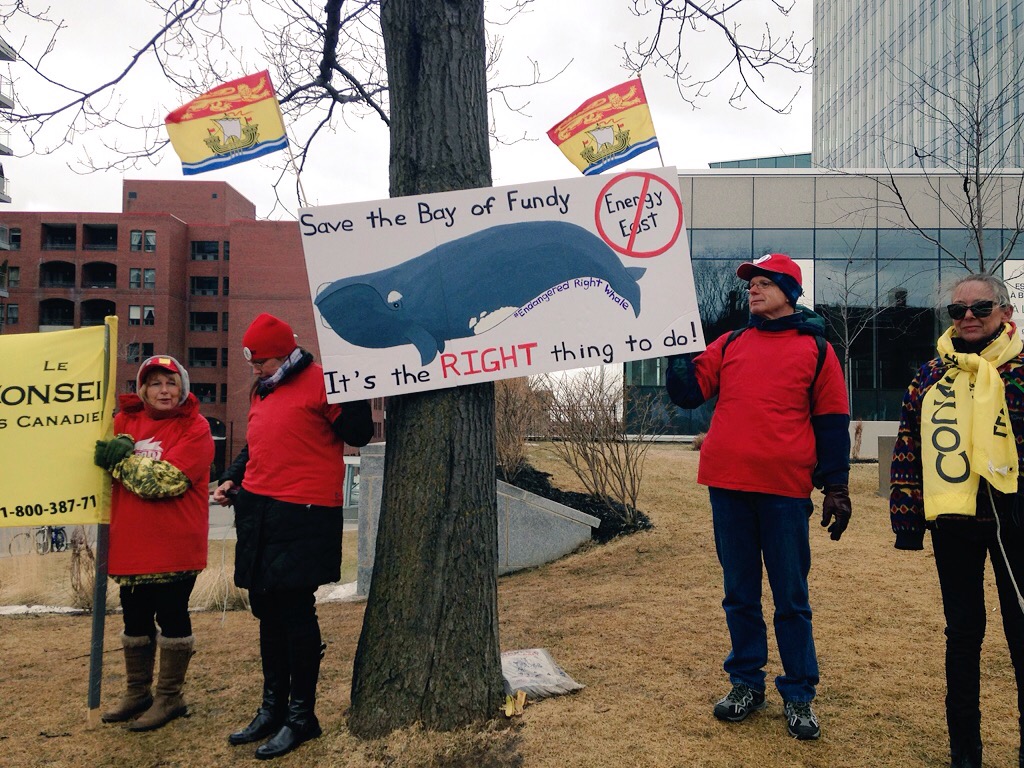 These are actually my neighbours. A number of New Brunswickers made the trip to Québec City to support alternatives to a fossil fuel based economy.