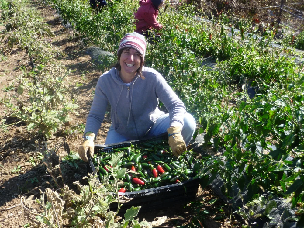 Beth Gehred in her community garden