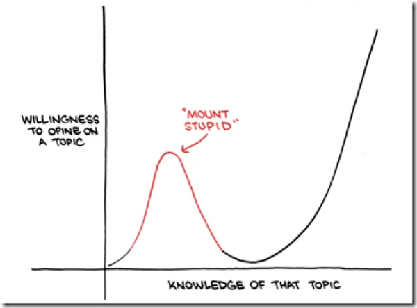I highly recommend Dave Collum's Year in Review which this year was titled Scenic Vistas from Mount Stupid .