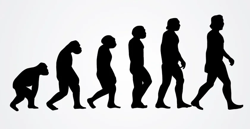 Trading stability for fragility