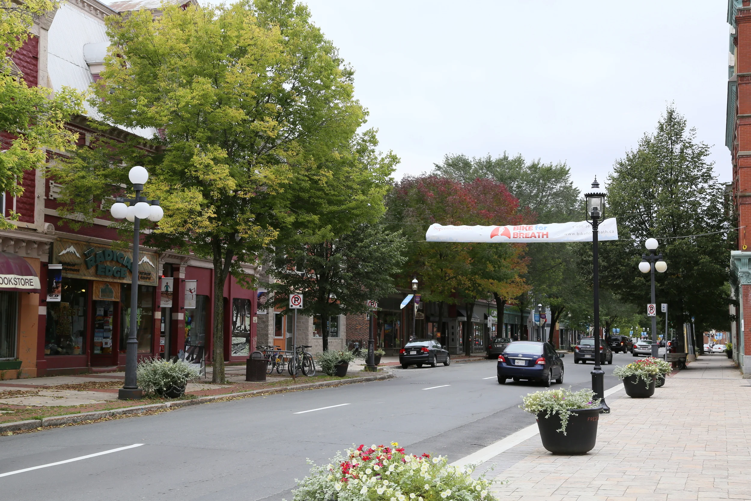 On becoming a local go-to person