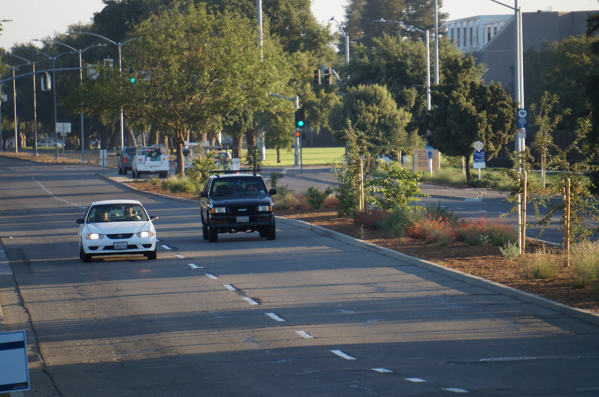 Podcast: Susan Handy