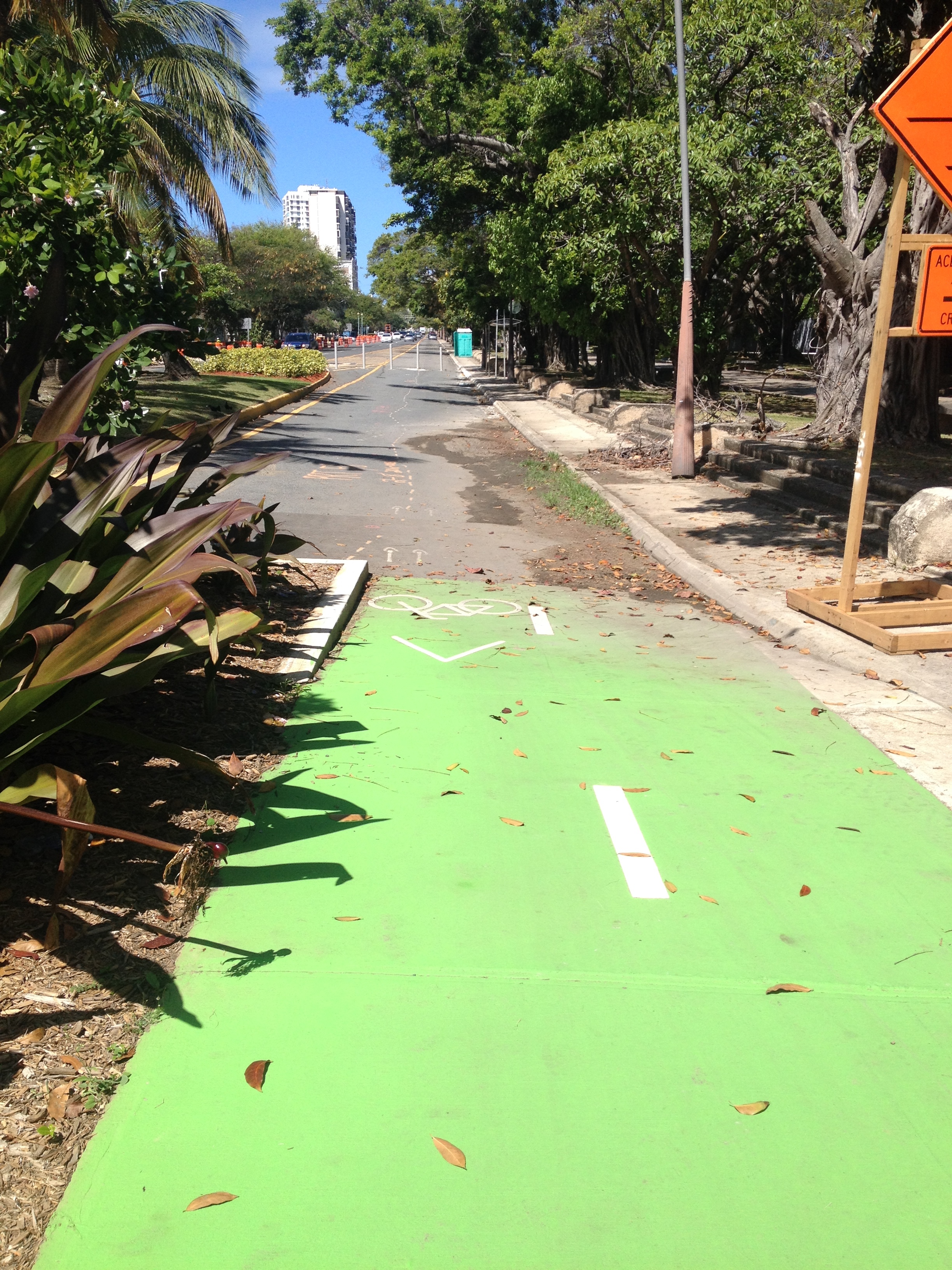  Protected bike lane 