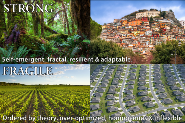 strong-vs-fragile